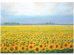 Campo di girasoli